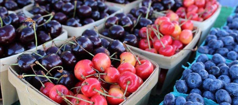 Grand Valley State University Farmers Market